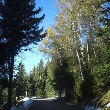 Gasthof Laggner Steindorf am Ossiacher See Zewnętrze zdjęcie