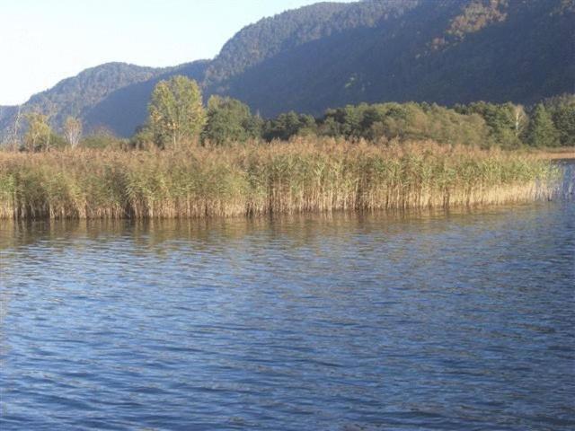Gasthof Laggner Steindorf am Ossiacher See Zewnętrze zdjęcie