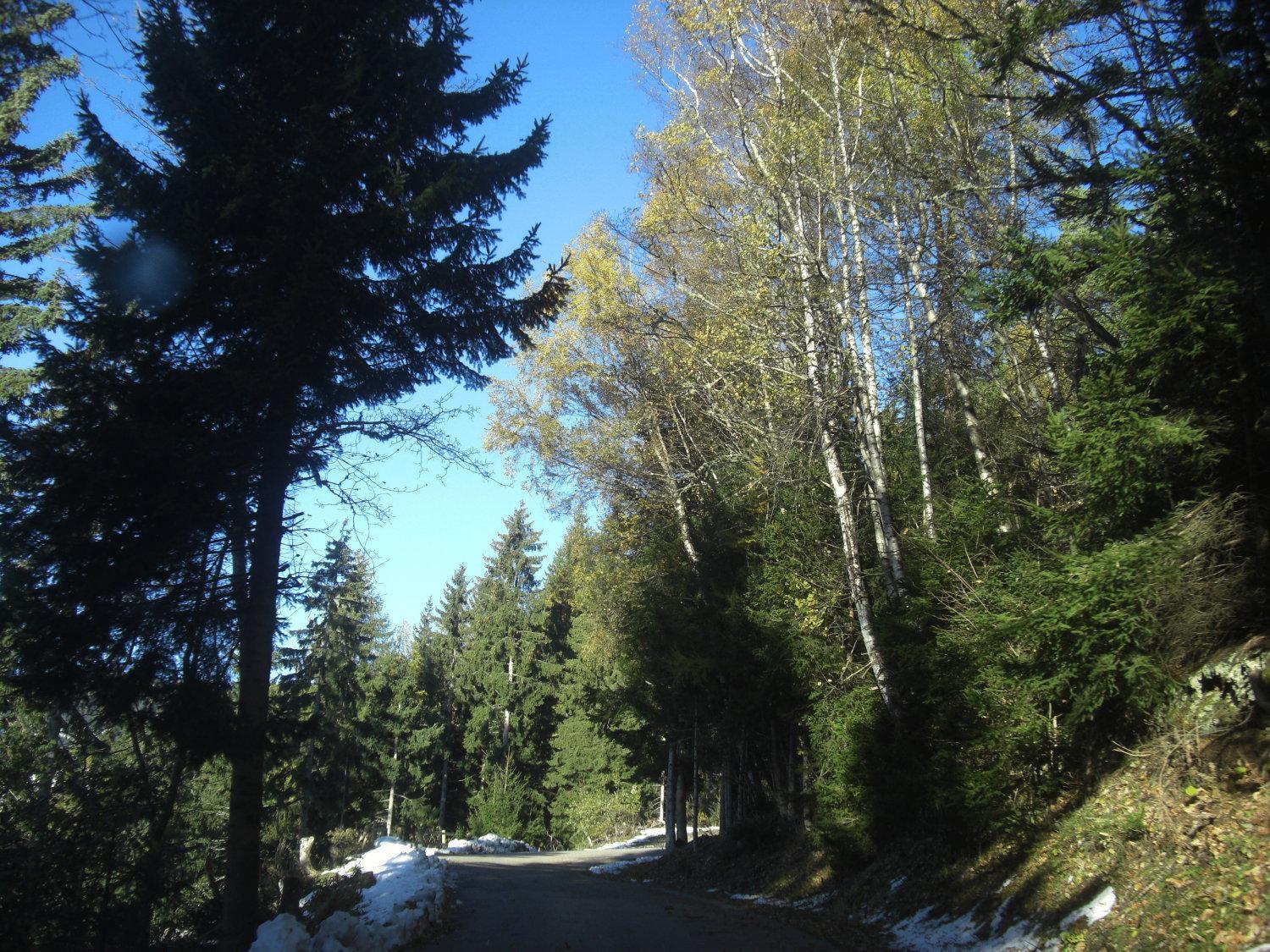 Gasthof Laggner Steindorf am Ossiacher See Zewnętrze zdjęcie