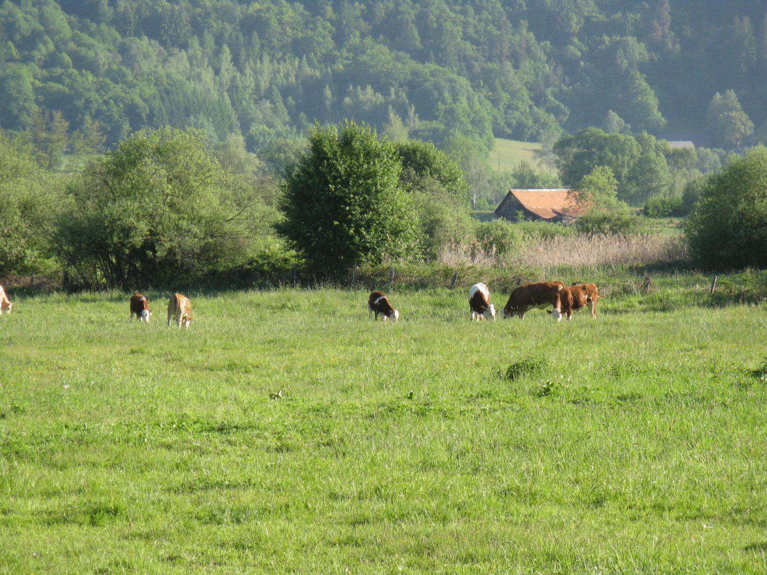 Gasthof Laggner Steindorf am Ossiacher See Zewnętrze zdjęcie